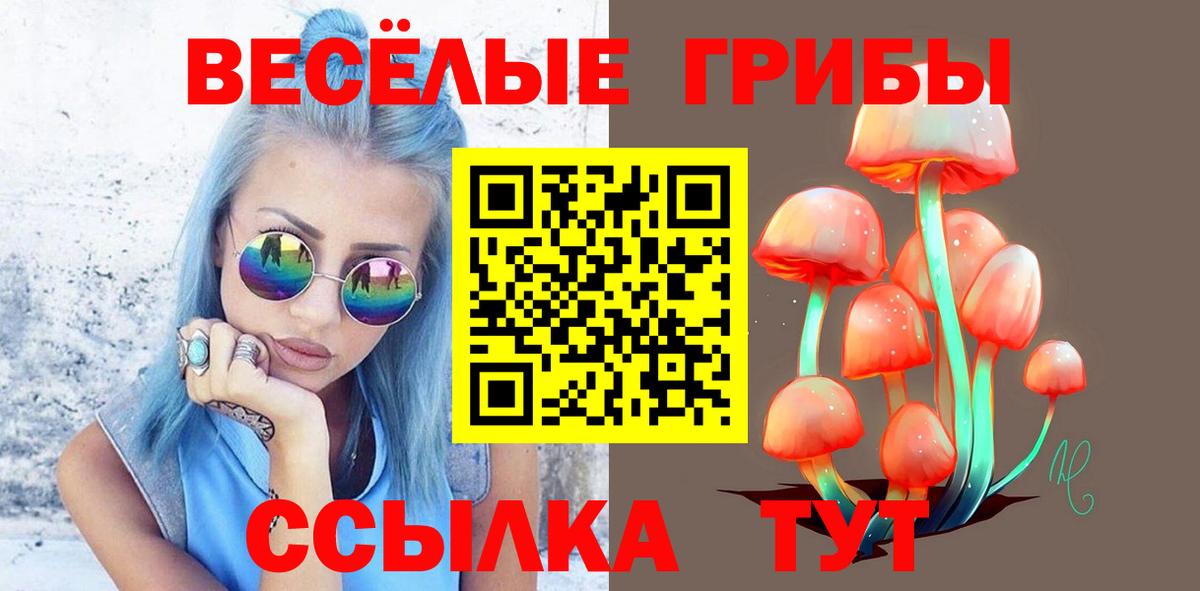 Кемерово  Псилоцибиновые грибы Cubensis  Вход с VPN 